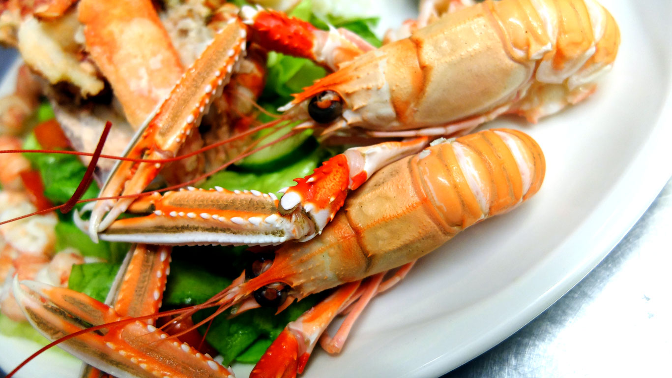 Coll Hotel Langoustines